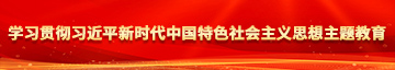 www草逼啊啊啊啊啊学习贯彻习近平新时代中国特色社会主义思想主题教育